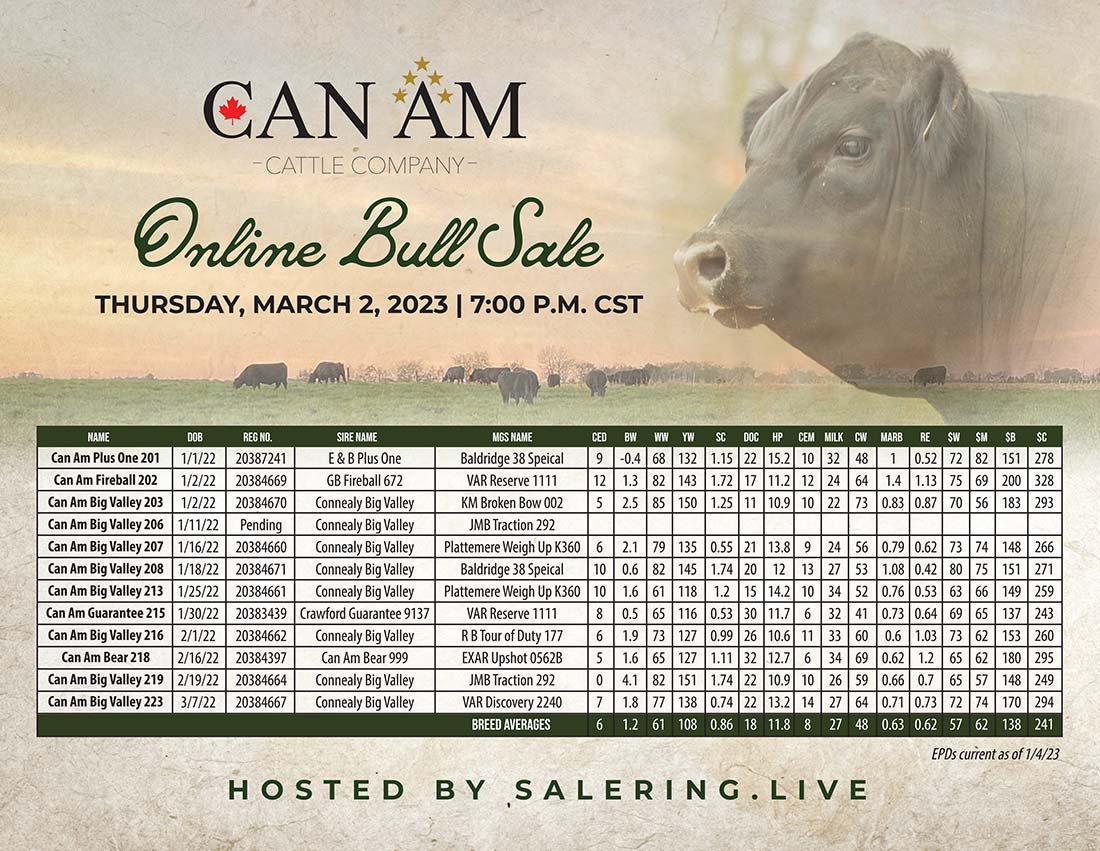 CAN AM Cattle Company Online Bull Sale Ad
