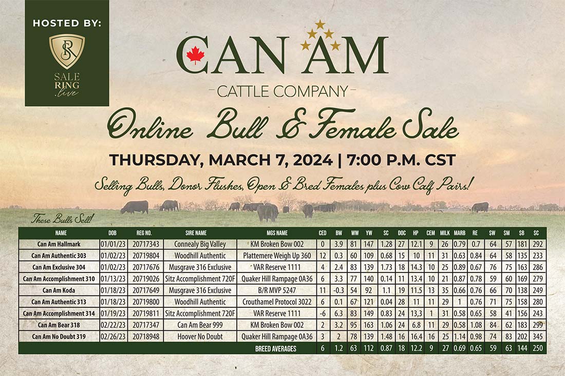 CAN AM Cattle Company Online Bull Sale Ad